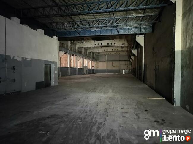 Toruń Hala produkcyjno-magazynowa / teren inwestycyjny