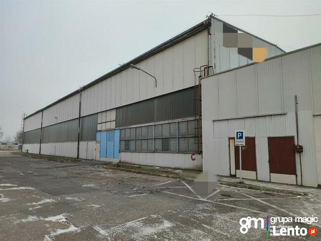 Toruń Hala produkcyjno-magazynowa / teren inwestycyjny