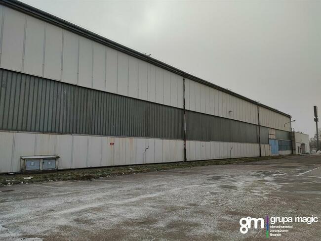 Toruń Hala produkcyjno-magazynowa / teren inwestycyjny