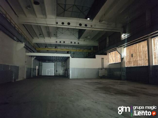 Toruń Hala produkcyjno-magazynowa / teren inwestycyjny