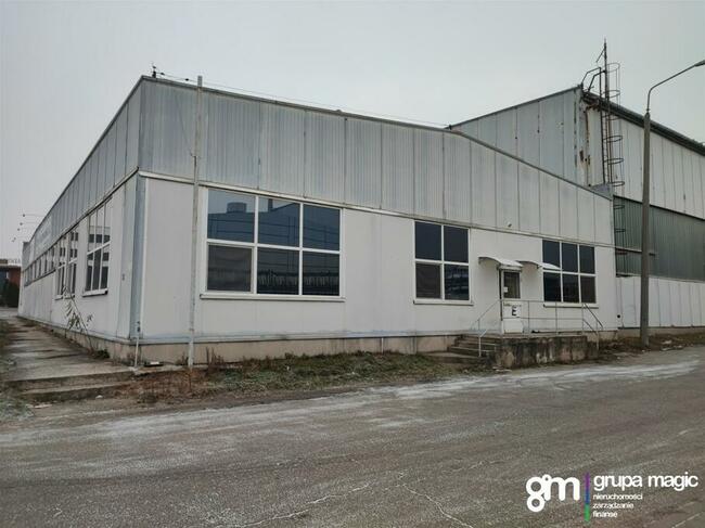 Toruń Hala produkcyjno-magazynowa / teren inwestycyjny