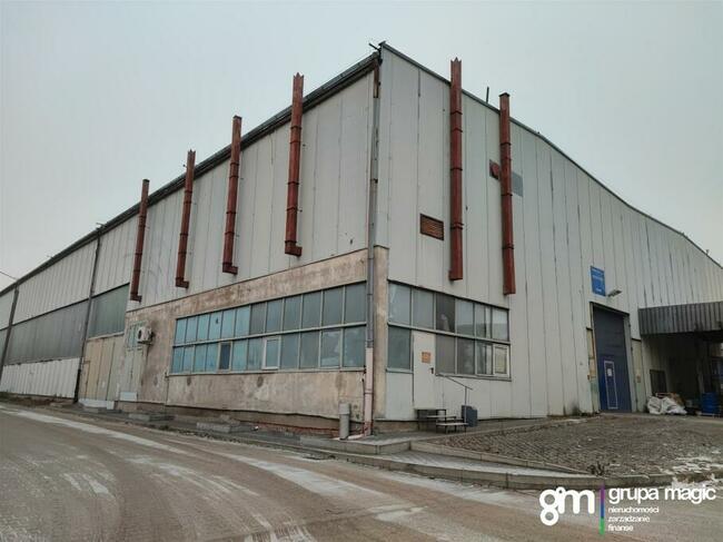 Toruń Hala produkcyjno-magazynowa / teren inwestycyjny