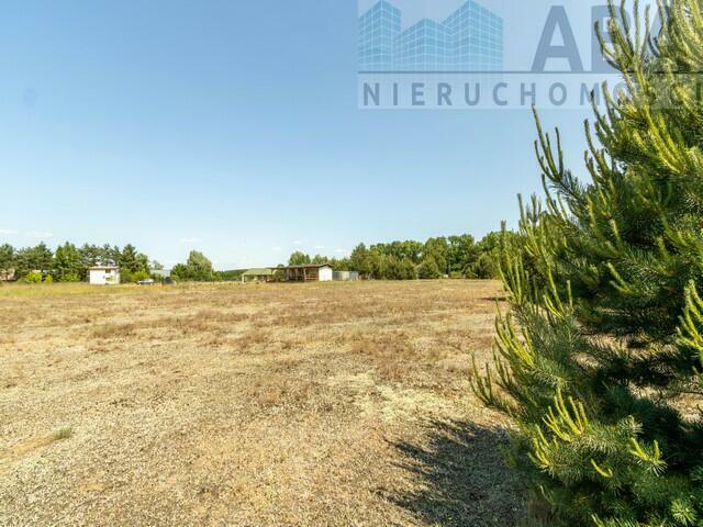 Działki na sprzedaż w uroczej lokalizacji w Mielnicy Dużej!