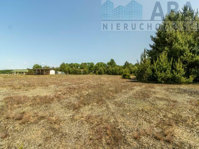 Działki na sprzedaż w uroczej lokalizacji w Mielnicy Dużej!