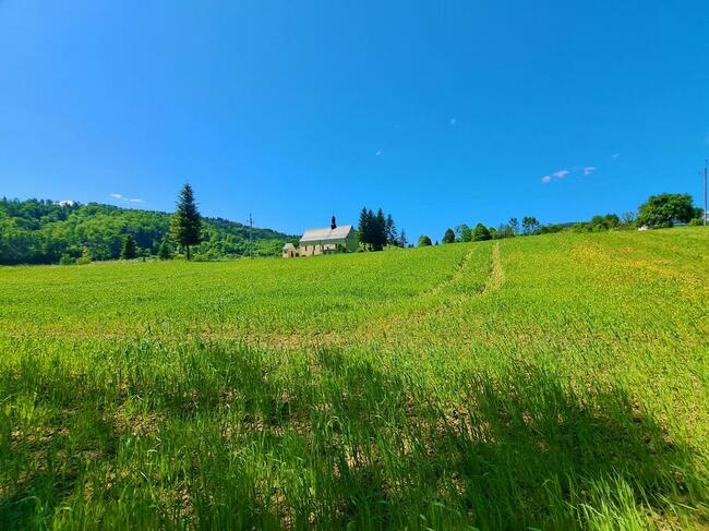 Działka z warunkami zabudowy Wujskie 96 ar