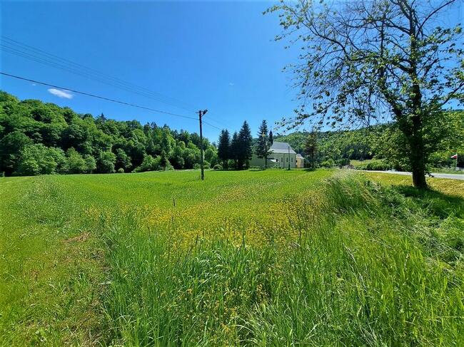 Działka z warunkami zabudowy Wujskie 96 ar