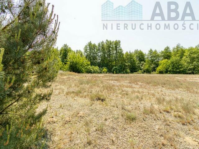 Działki na sprzedaż w uroczej lokalizacji w Mielnicy Dużej!