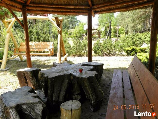 Domki bezpośrednio nad jeziorem powidzkim w Ostrowie