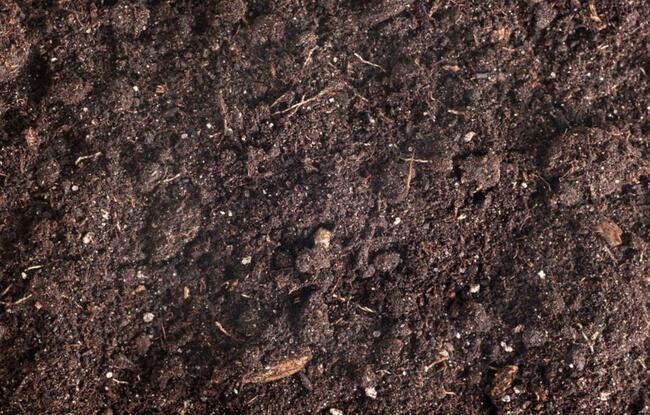 KOMPOST luzem, kompostownik, wywrotka, czarnoziem, torf, zie