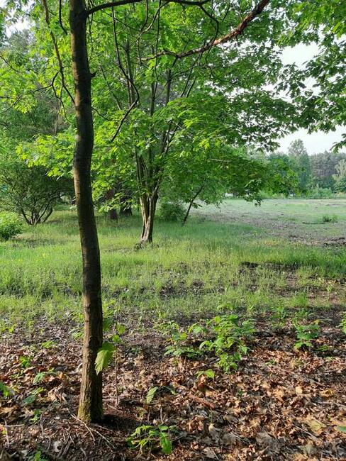 Sprzedam działkę w malowniczej okolicy