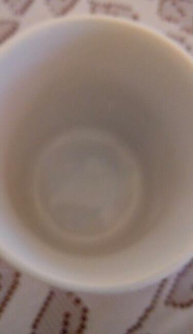 Kubek Kolekcjonerski - Książę KAROL i KSIĘŻNA DIANA