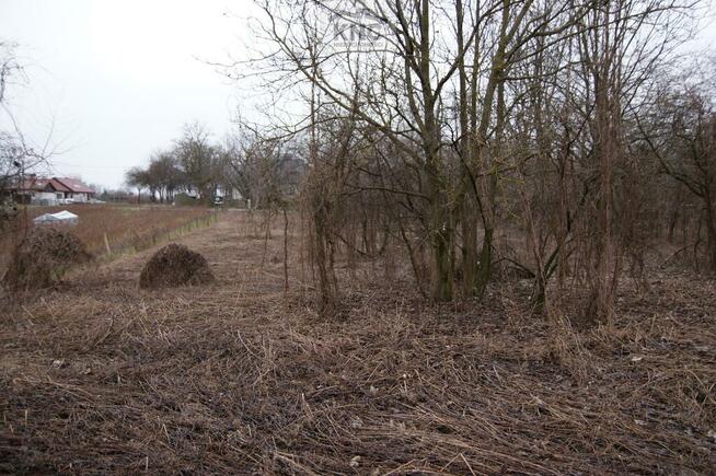 Działka budowlana Kazimierz Dolny