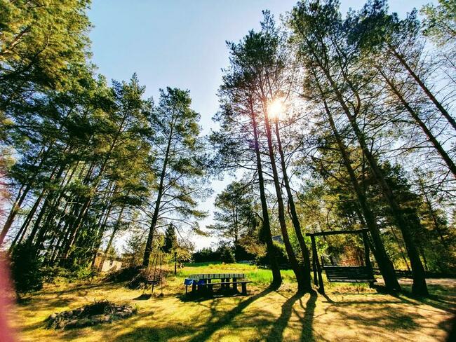 Domek nad Jeziorem do wynajecia - Warmia Mazury