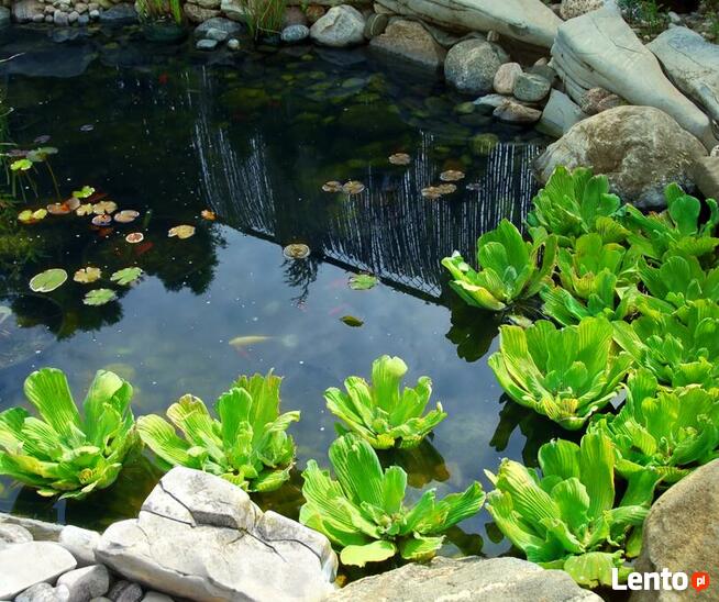 Foliowanie basenów i oczek wodnych