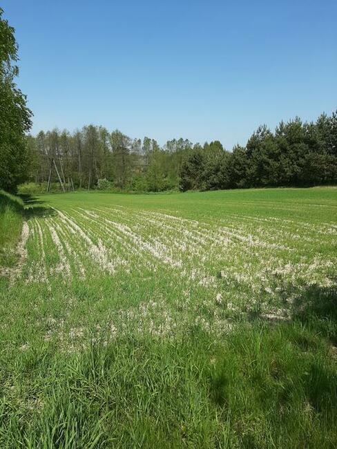 Sprzedam działkę z budynkiem gospodarczym