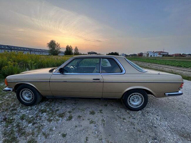 Życie musi być dobre - może to ty ?