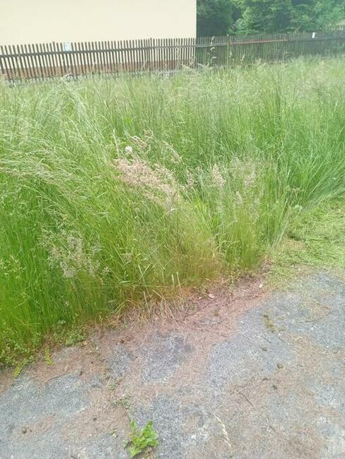 kosiarka bijakowa, koszenie trawy, karczowanie działek, rębak,