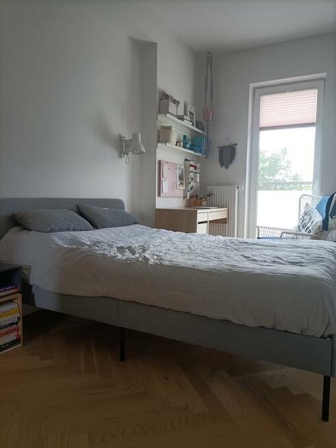 Wynajmę mieszkanie uroczo położone wśród drzew