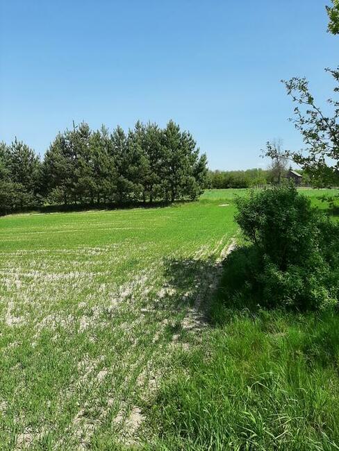 Sprzedam działkę z budynkiem gospodarczym