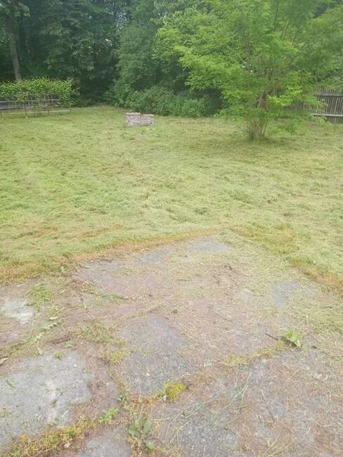 kosiarka bijakowa, koszenie trawy, karczowanie działek, rębak,