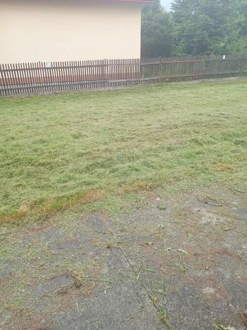 kosiarka bijakowa, koszenie trawy, karczowanie działek, rębak,