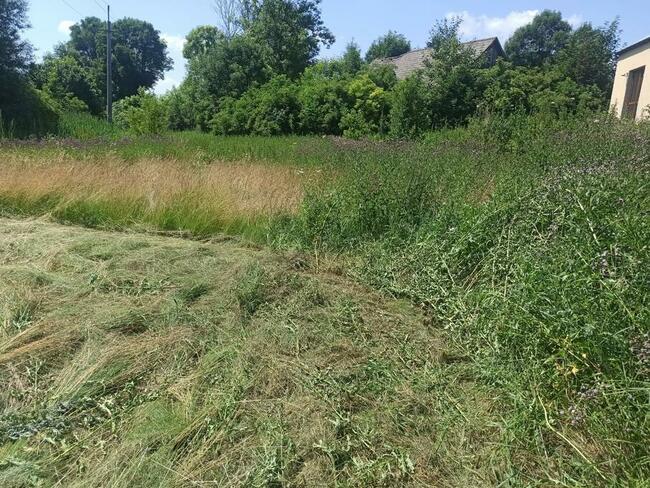 kosiarka bijakowa, koszenie trawy, karczowanie działek, rębak,