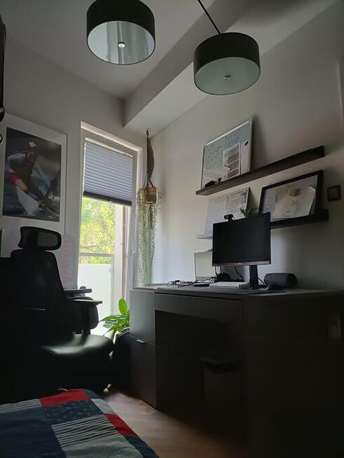 Wynajmę mieszkanie uroczo położone wśród drzew