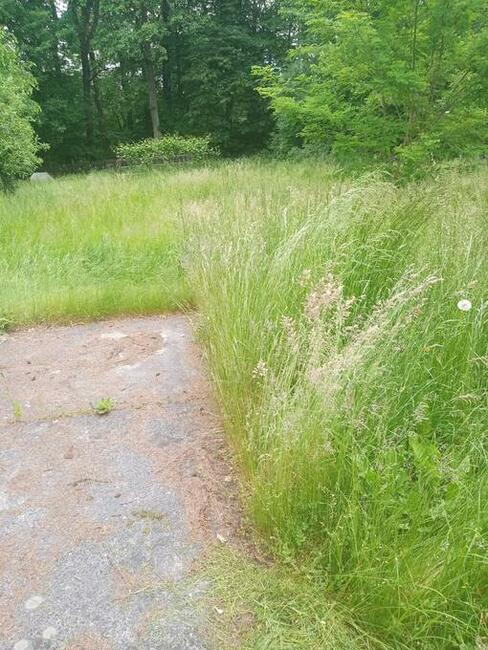 kosiarka bijakowa, koszenie trawy, karczowanie działek, rębak,