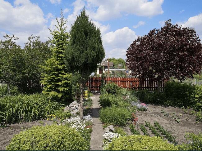 Działka rekreacyjna z murowaną altanką Tarnobrzeg – Kamionka