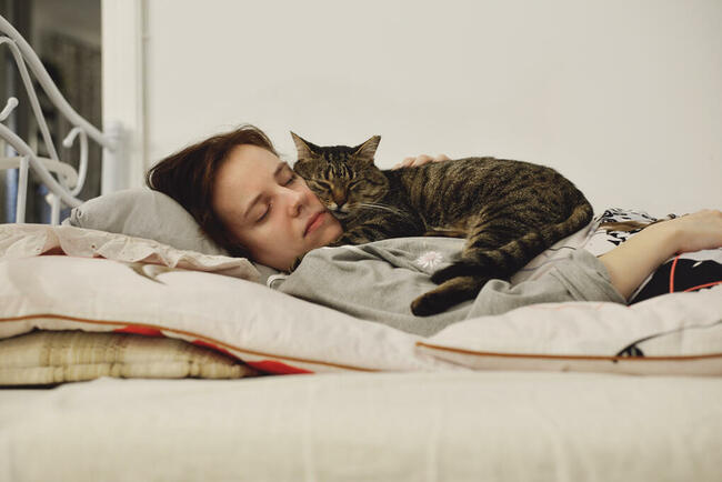 Opieka nad kotem, hotel dla kota, Kalisz + 50 km