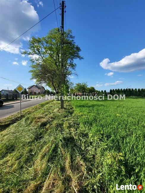 Działka Borowno gm. Mykanów Kolonia