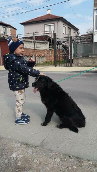 Dejna - psi anioł do pokochania od zaraz!