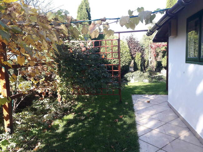 Działka rekreacyjna z murowaną altanką Tarnobrzeg – Kamionka