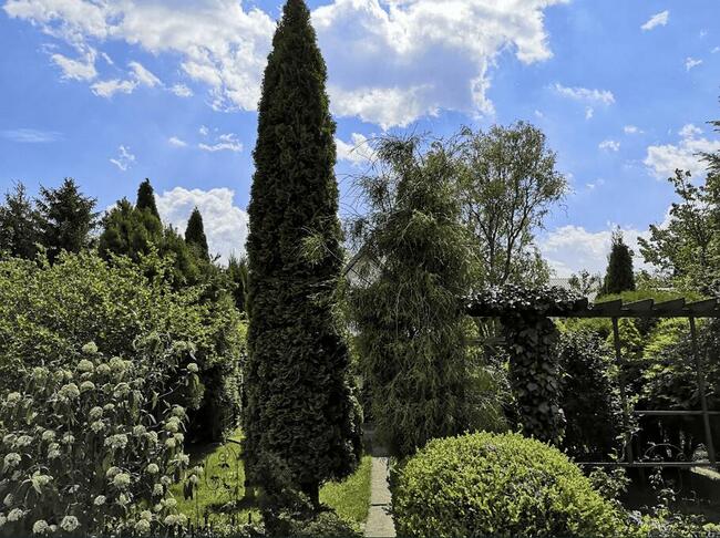 Działka rekreacyjna z murowaną altanką Tarnobrzeg – Kamionka