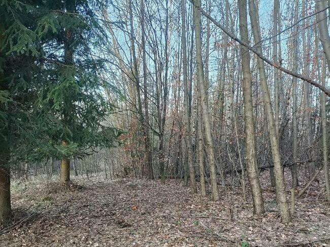 Sprzedam działkę 63,6a w Kossowej lub zamienię