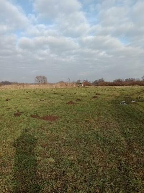 Wynajmę działkę łąka Głosków 7200 m2 .1200 mc