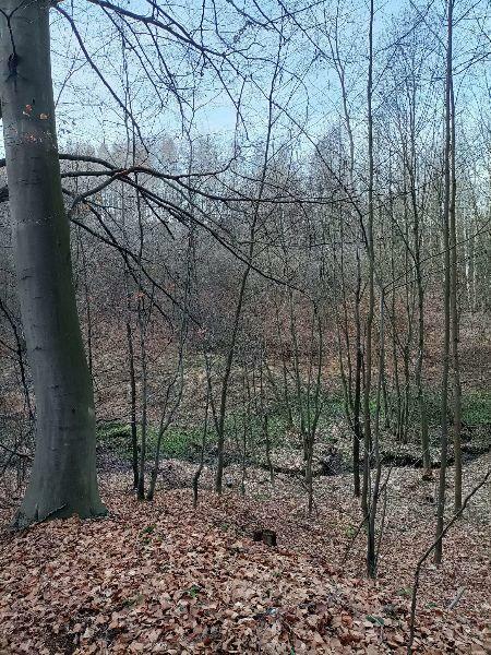 Sprzedam działkę 63,6a w Kossowej lub zamienię