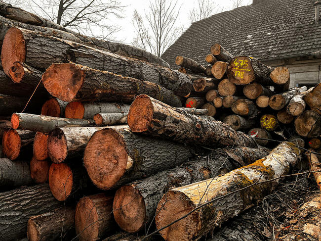 Drewno kominkowe DĄB BUK OLCHA BRZOZA