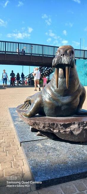 ARKA domki na wodzie w Mielnie