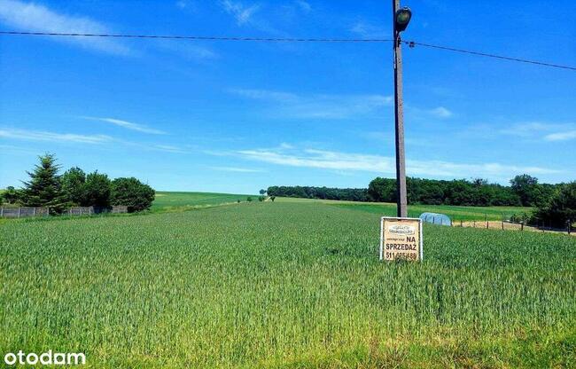 działka budowlana blisko lasu, Topola, gmina Izbica