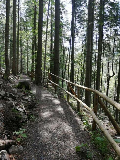 Bieszczady Noclegi Domki Bystre, góry, woda