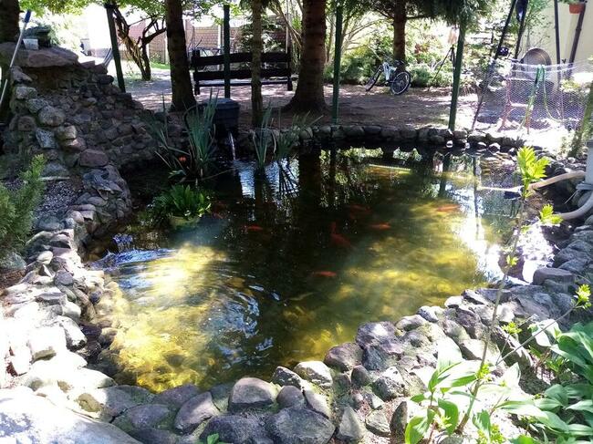 duza posiadlosc 3 domy