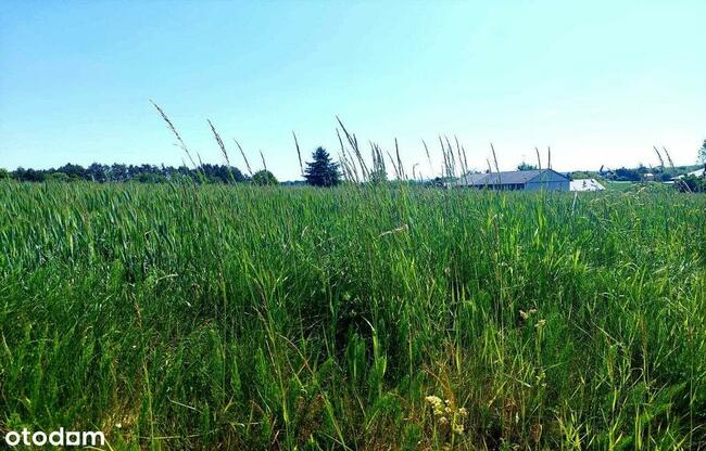 działka budowlana blisko lasu, Topola, gmina Izbica