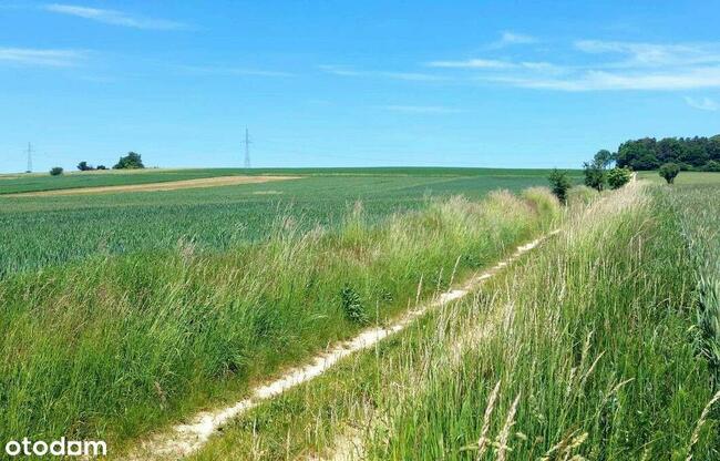 działka budowlana blisko lasu, Topola, gmina Izbica