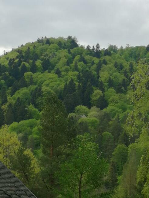 Bieszczady Noclegi Domki Bystre, góry, woda