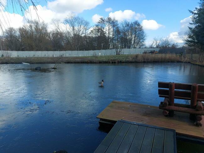 duza posiadlosc 3 domy