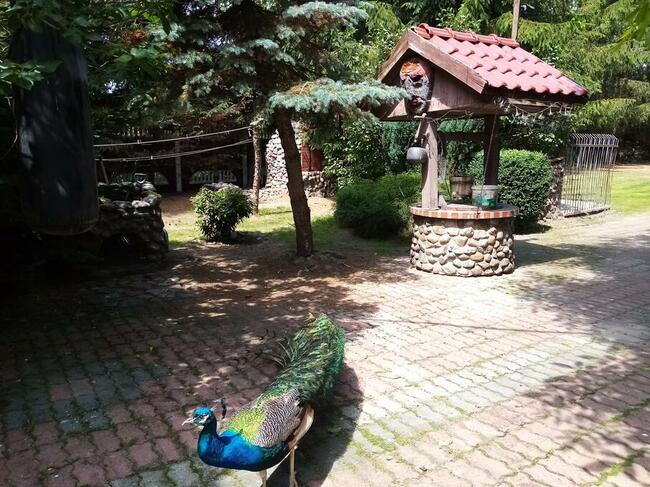 duza posiadlosc 3 domy