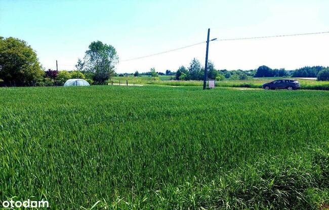 działka budowlana blisko lasu, Topola, gmina Izbica