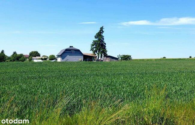 działka budowlana blisko lasu, Topola, gmina Izbica