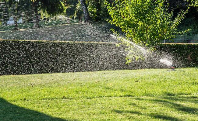 Zakładanie trawników i systemów automatycznego nawadniania